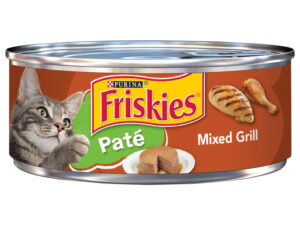 Can Kittens Eat Adult Cat Food