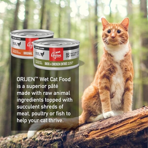 ORIJEN Cat Food Recipe (6) + Duck & Chicken Recipe (6), 3oz - Image 2