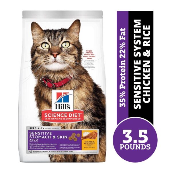 royal canin cat food